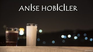 Anise Hobiciler Grup