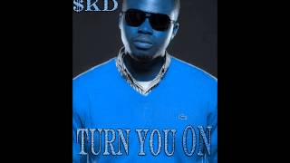 Watch Skd Turn You On video