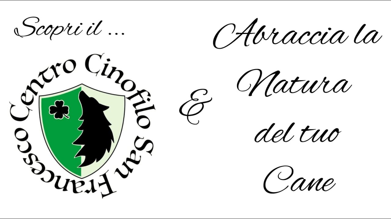 Tutti i video