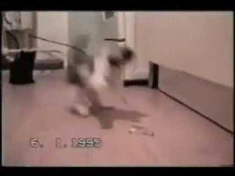 crazy funny videos. Funny Video of Crazy Cats