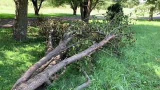 Cleaning Up After Last Weeks Storms