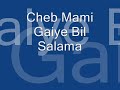 Gaiye Bil Salama Video preview