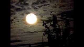 Watch Jerry Lee Lewis Bad Moon Rising video
