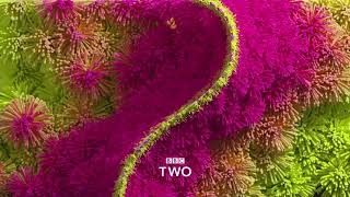 Bbc Two Ident - Celebratory Clean - 2018