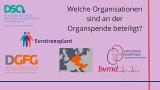 Welche Organisationen sind an der Organspende beteiligt? || Aufklärung Organspende