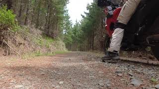2022 Kawasaki KLR650 Review - Preview