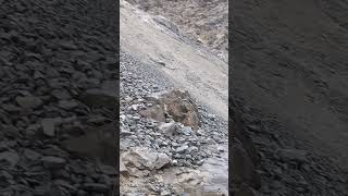 Kkh Road Update