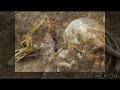 Srilanka Real Evidence Of Ravana Dead images Srilanka Real Evidence Of Ravana Dead