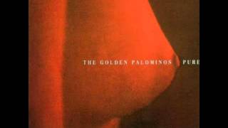 Watch Golden Palominos Pure video