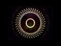 Divine Wholeness DNA Activation - Antonio Newton