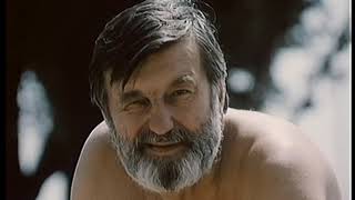 Bambulka 28 Motylik