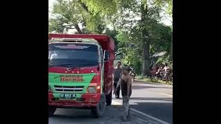 Tingkah Konyol Agos Kotakega Alfaris