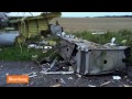 Malaysia Flight MH17 Wreckage in Ukraine: New Images