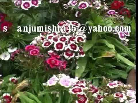 Intezar hai tera intezar hai.flv