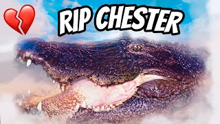 In Loving Memory Of Chester The Alligator.
