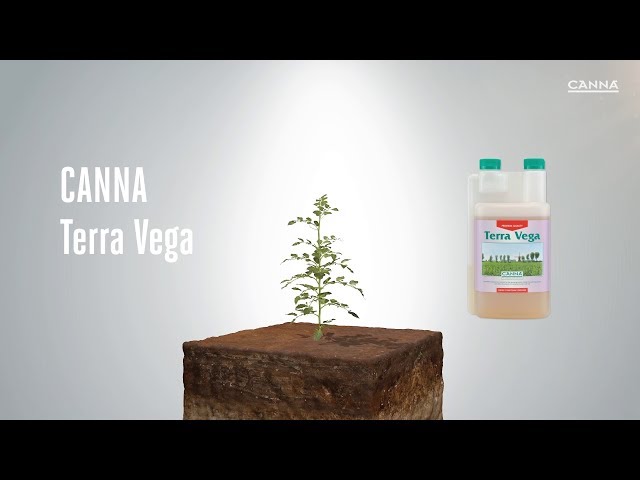 Watch (ES-CL) CANNA Terra Vega on YouTube.