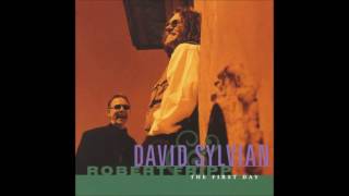 Watch David Sylvian Firepower video