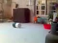 محاوله اغتصاب خدامه