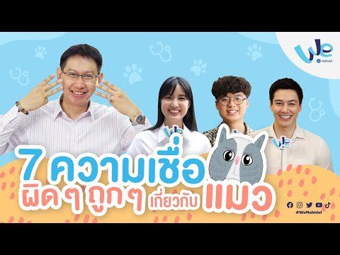 7 ความเชื่อผิด ๆ ถูก ๆ เกี่ยวกับแมว | We Mahidol