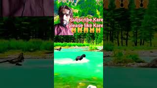 Bhains Pani Mein Fans Gai Hai Soniashort7M Riel15New34