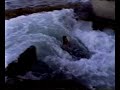 Frio River 2003: Utopia bridge without tubes