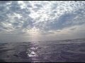 paddling