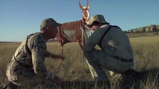 Antelope Stalk With A Montana Decoy
