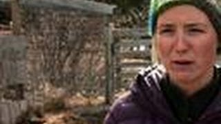alaska frontier last cancelled