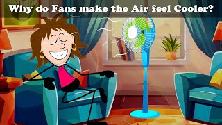 Why Do Fans Make The Air Feel Cooler? More Videos