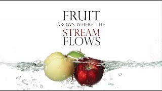 Paul Lucas • Fruit Grows Where the Stream Flows: 6