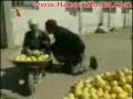 youtube algerie humour