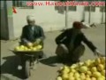 youtube algerie humour