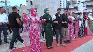 Rekor Kıran Kürtçe Halay 2024 Bomba Grani Ağır Delilo - Wedding Dance