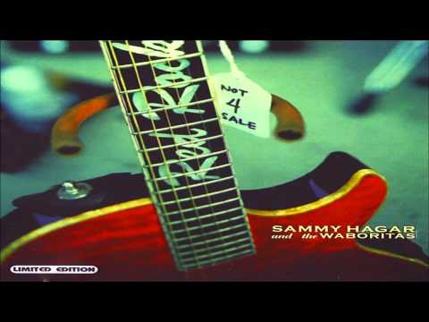 Whole Lotta Zep Video