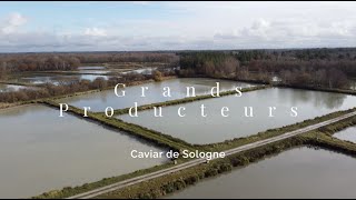 Caviar de Sologne - Grands Producteurs