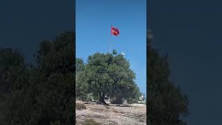 Türki̇ye Bayrak Ne Mutlu Di̇yene
