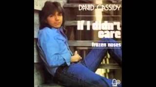Watch David Cassidy If I Didnt Care video