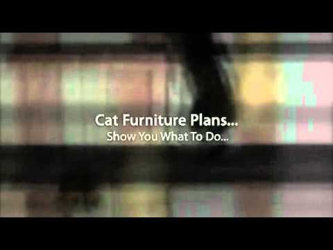 Cat house plans Cat house plans needed or Cat house drawings needed 