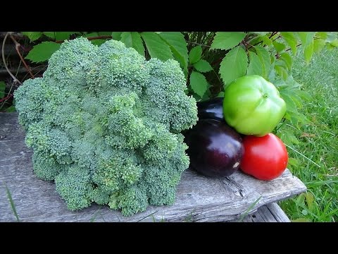 Из сапог тапочки своими руками выкройки 47