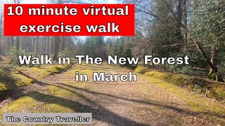 Virtual 10 minute Walk in The New Forest in March, with 2 minute interval marks