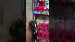 Velmuruga