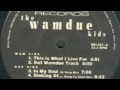 The Wamdue Kids - In My Soul (3c Deep Mix)