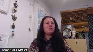 Power Animal Readings 12th Oct 2021