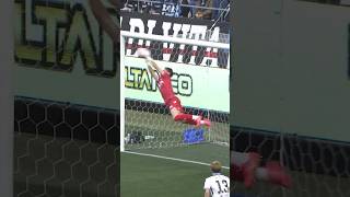 2Tjm5BaA9h0 Video Image
