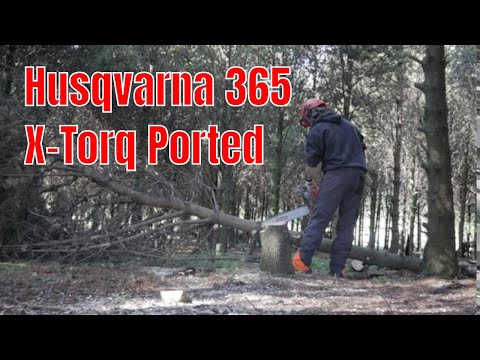 Frankensaw. Husqvarna 365 X Torq Ported