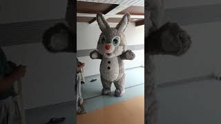 Inflatable Walking Bunny Rabbit Mascot Costume Available On Indiamart