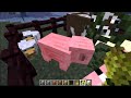 apprivoiser poule minecraft