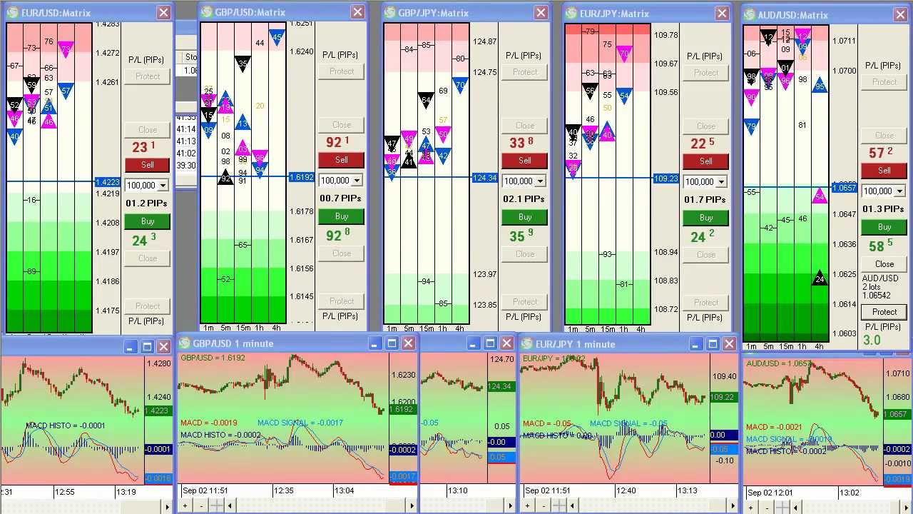 forex trading session live