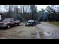 Cumstang..