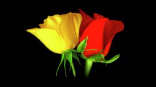 Watch Al Green Stay With Me (by The Sea) video